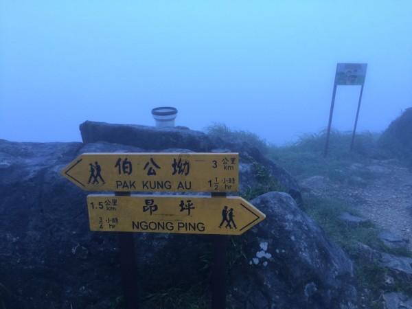 妙鸭相机app下载官网