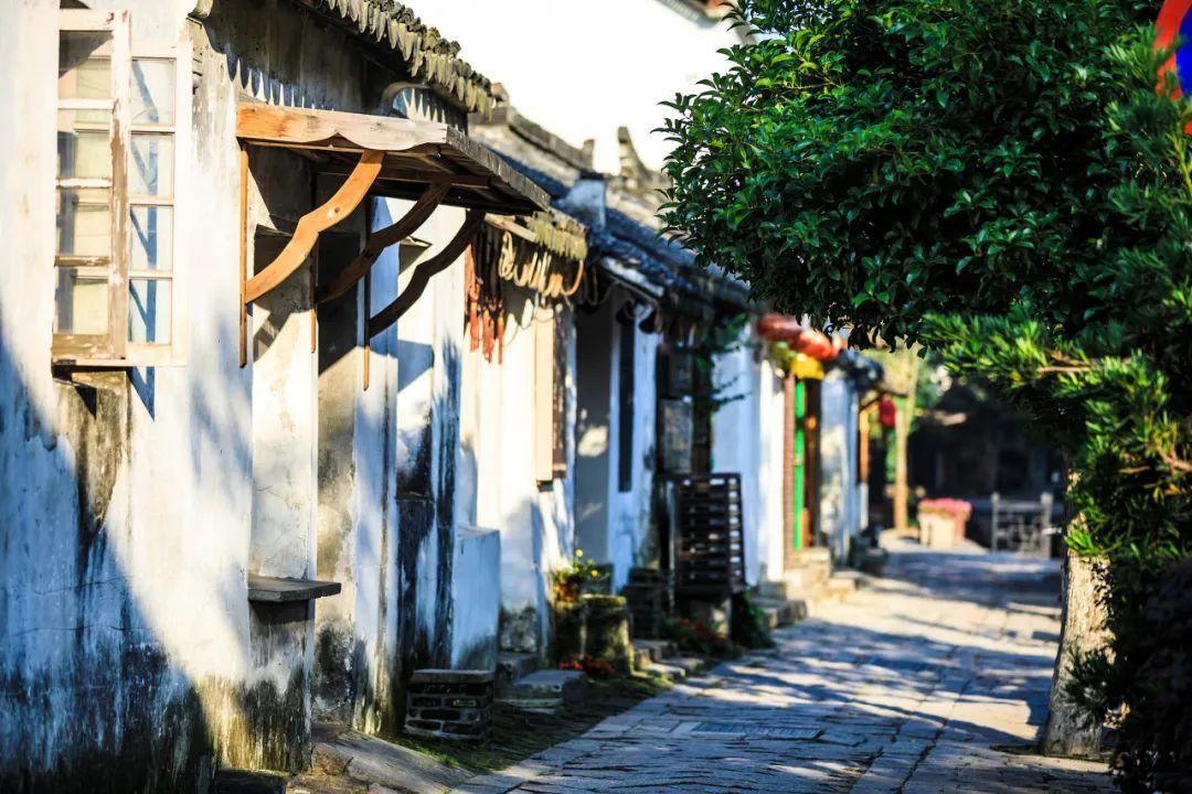 糯米蛋糕配方-专业知识星球平台