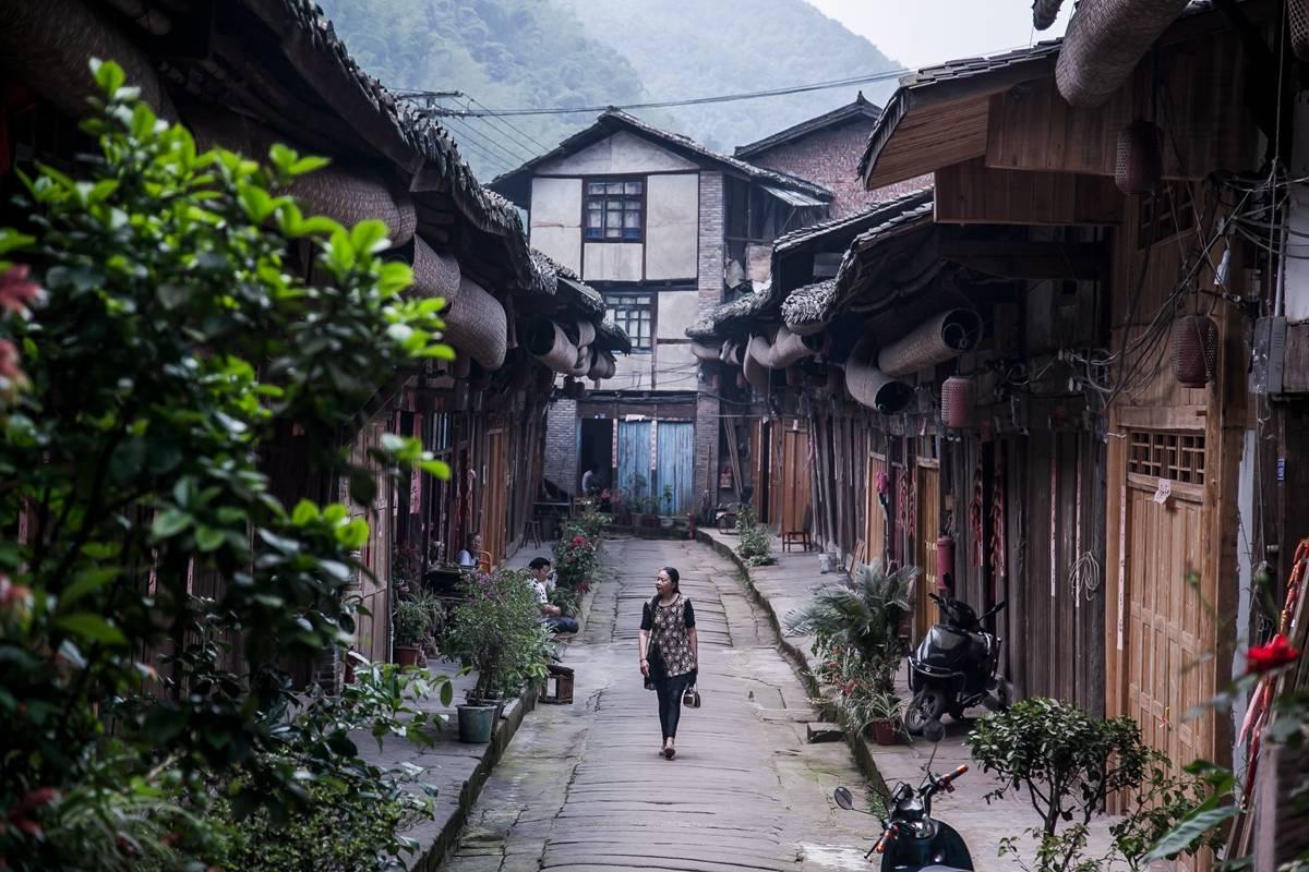 虫虫助手下载
